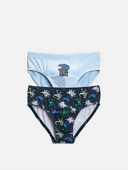 20124120085 Трусы детские для мальчиков в наборе из 2шт Efiun разноцветный