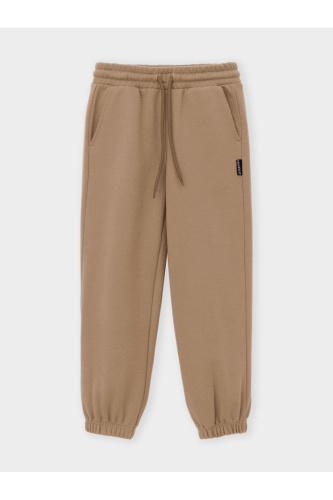 КР 400951_коричневый 1038 к736 Брюки