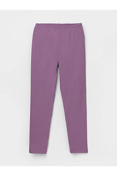 КП 400427-1_насыщенный виноград Бриджи