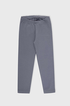 К 400427-1_железо Бриджи