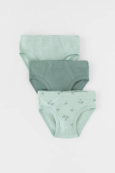 К 1928-3уп_полынь, голубая дымка, пальмы Трусы/ уп