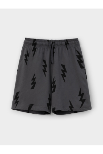 КР 400923_антрацитовый 3907 Н193 к718 Шорты